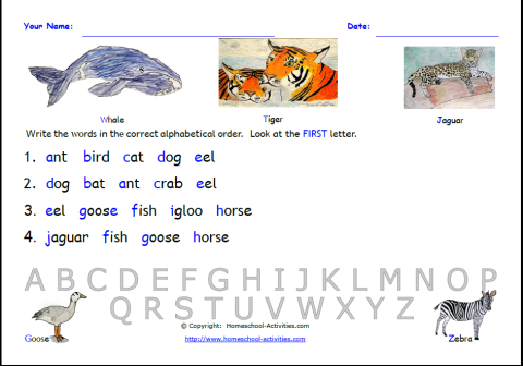 Alphabetical Preschool abc Abc  Order Paste Worksheet worksheets order Worksheets Cut animal And