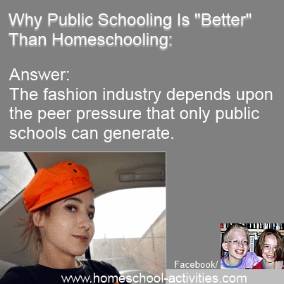 Traditional School Vs Homeschooling