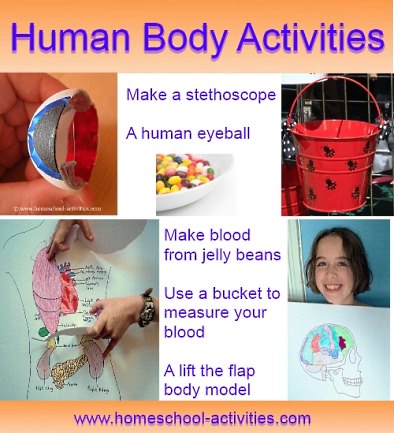 Science Activities For Kids