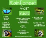 rainforest for kids activities pinterest