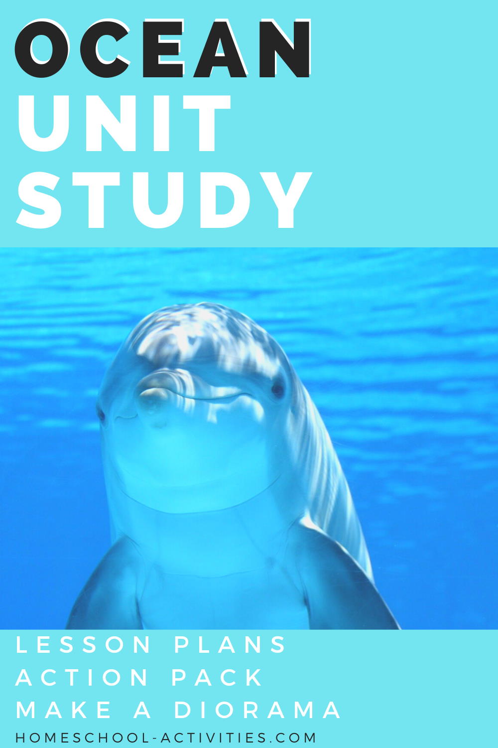 ocean unit study dolphin 