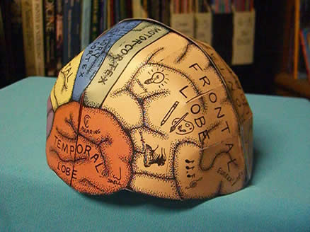 brain hemisphere hat