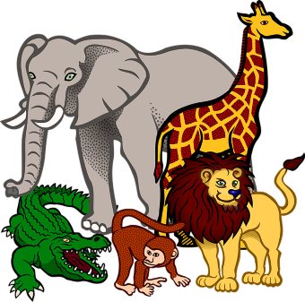 African animals