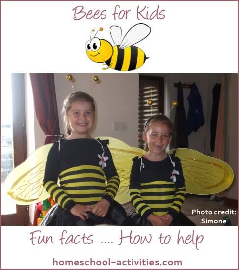 bees for kids