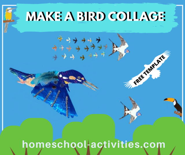 Make a bird collage
