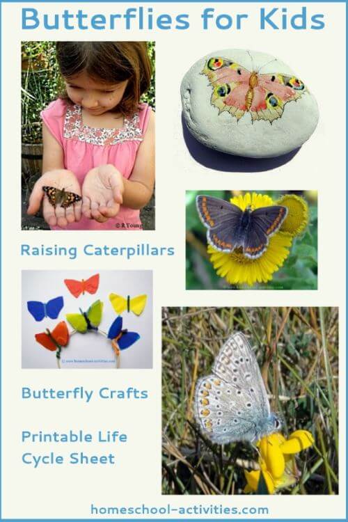 Activities that you can host for kids in a school or home