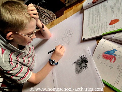 Child doing worksheets