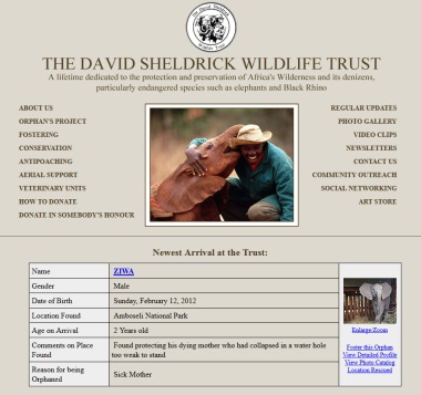 David Sheldrick Wildlife Trust