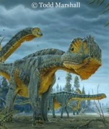 dinosaur picture