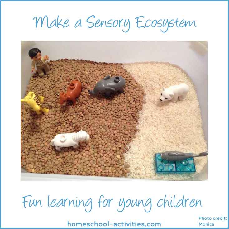 ecosystem preschool science