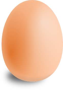 egg