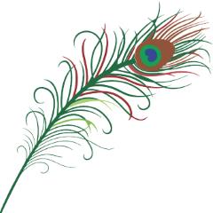 peacock feather