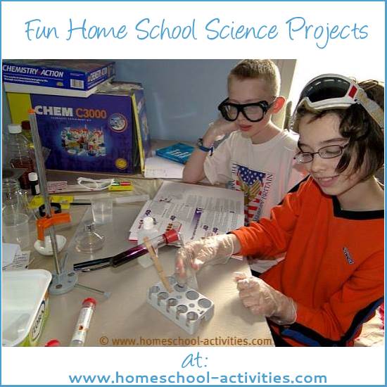 fun home school science projects