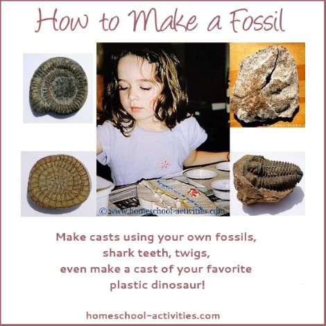 how to make a fossil
