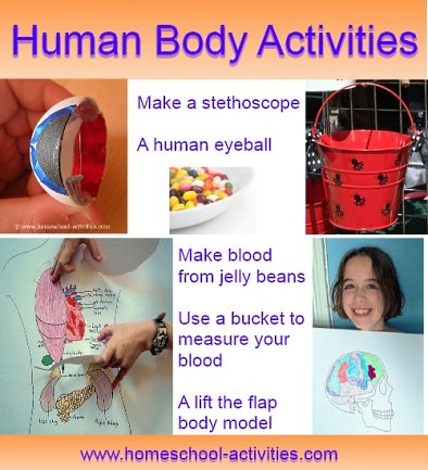 Human body activities for kids.