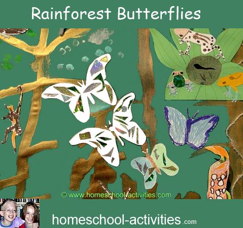 making butterflies to go in the rainforest