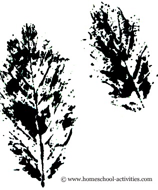 leaf print