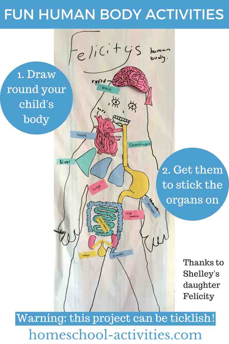 learning to draw the human body