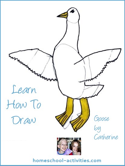 learn how to draw animals