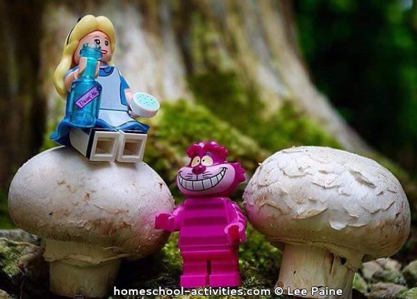 Alice in Wonderland lego fun photography