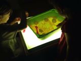 light box