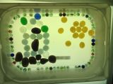light box