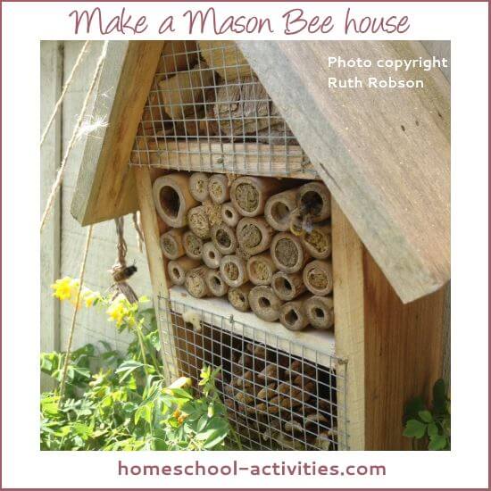 make a mason bee house