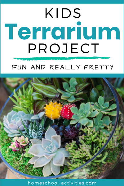 Make a terrarium with kids