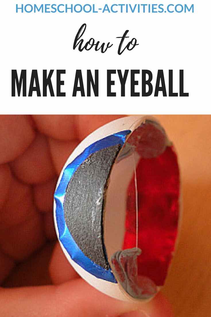 how to make an eyeball for fun human body activities