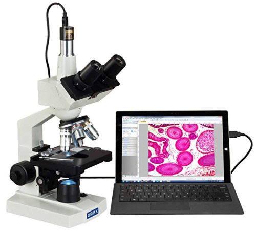 Microscope