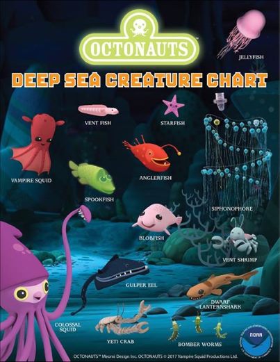 octonauts creatures homeschool ocean fun