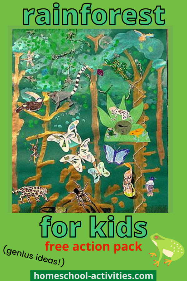 Rainforest for kids