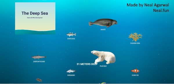 Sea Animals, Facts & Types - Video & Lesson Transcript