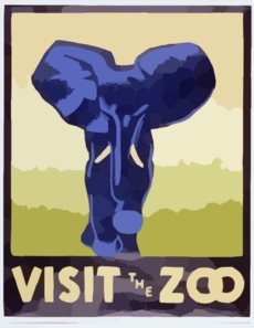 visit the Zoo