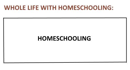 whole life with homeschooling