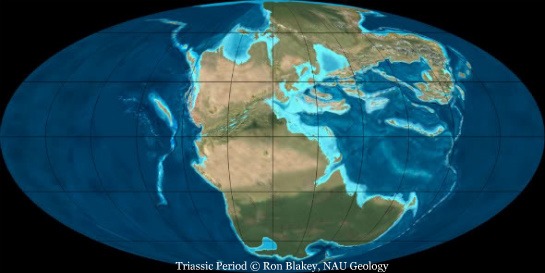 Triassic period map