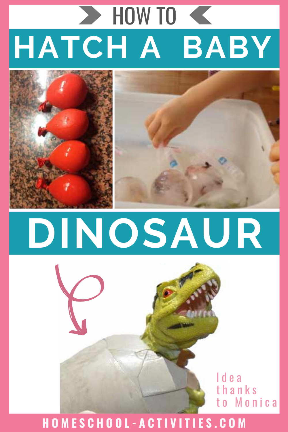 Hatch a baby dinosaur