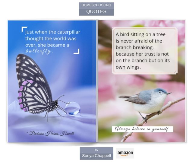Homeschooling quotes gift book on Amazon