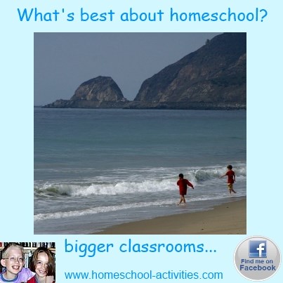 what's best about homeschooling?  Bigger classrooms.