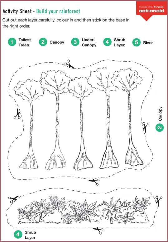 Build a rainforest