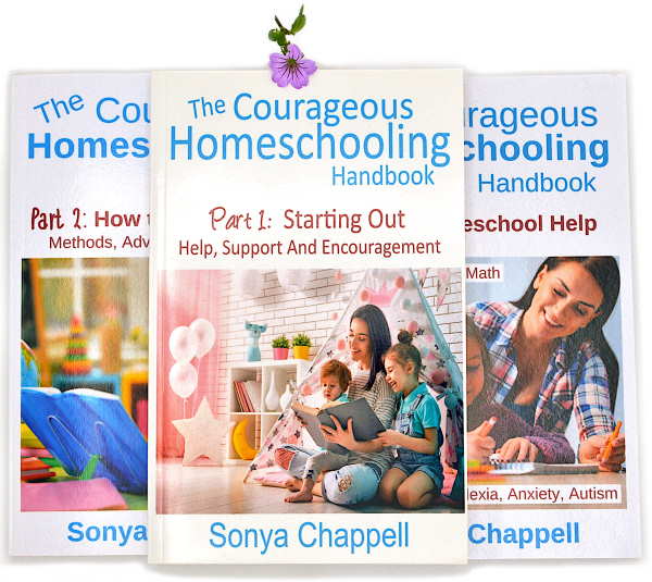 Courageous Handbooks ALL THREE 600