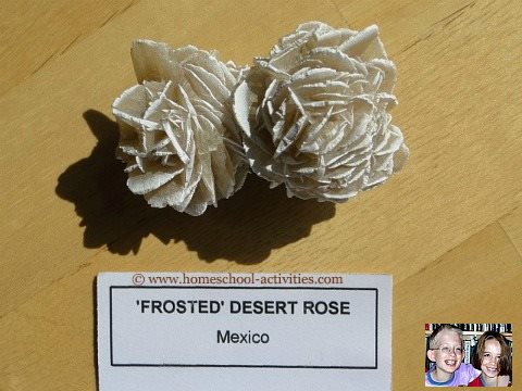 desert rose