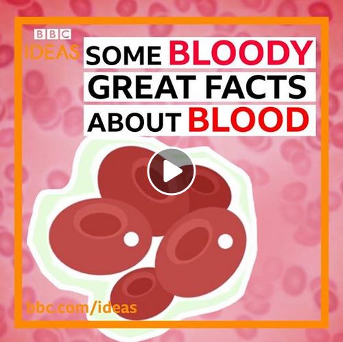 Facts about blood