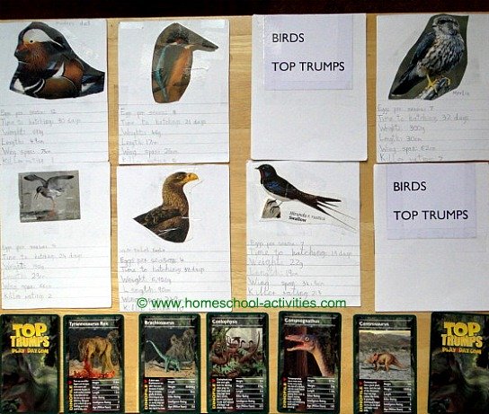 homemade Top Trumps