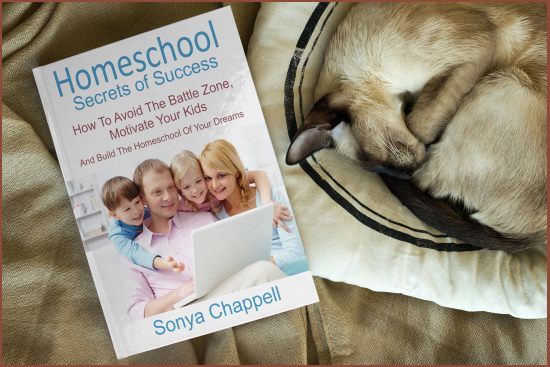 Homeschool Secrets of Success