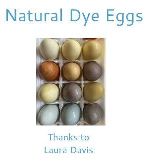 Natural dye eggs