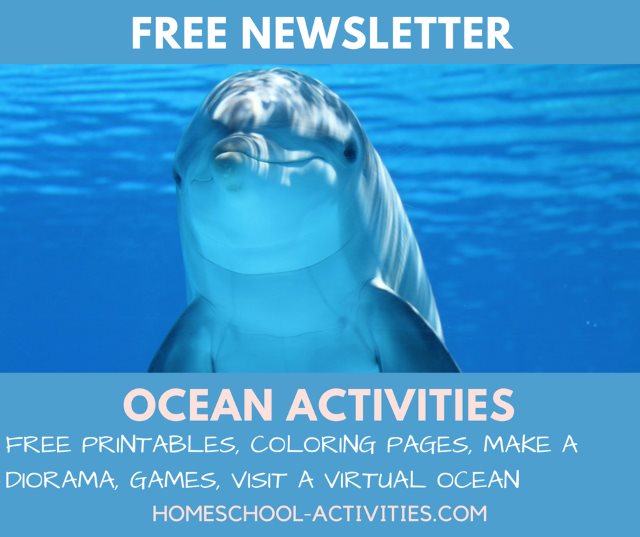 ocean newsletter