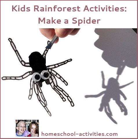 making a spider to go in the rainforest