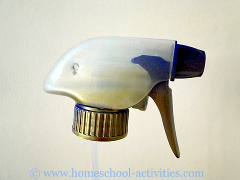 spray bottle head