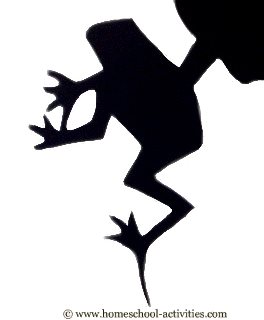 shadow of rainforest frog